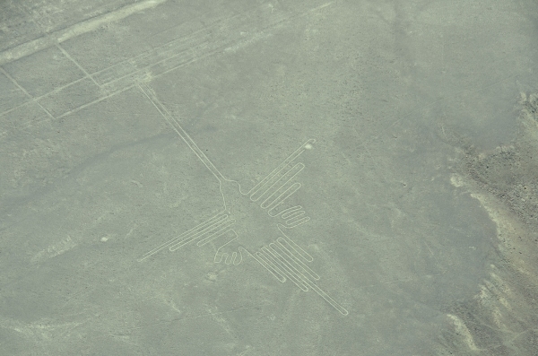Le colibri des lignes de Nazca.jpg
